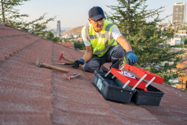 Best Shed Removal  in Cibecue, AZ
